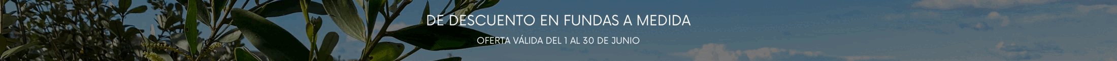 10% 
